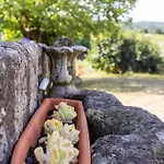 Quinta Da Comenda *