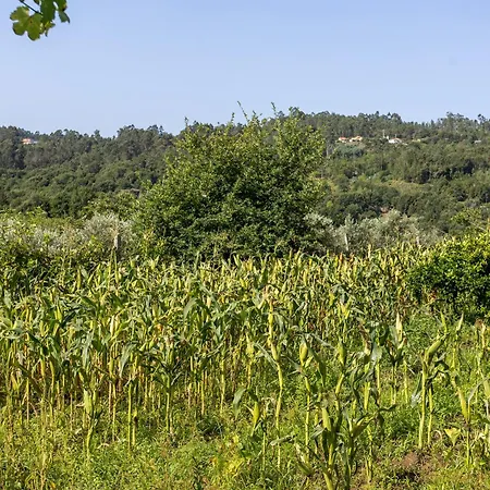 Quinta Da Comenda Κατάλυμα σε φάρμα *