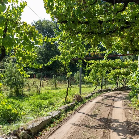 Quinta Da Comenda Farma São Pedro do Sul