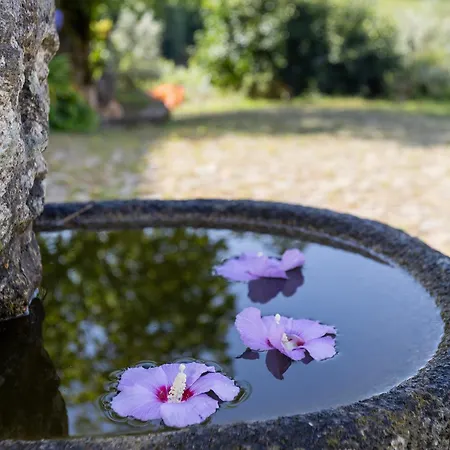 Quinta Da Comenda Farmház *