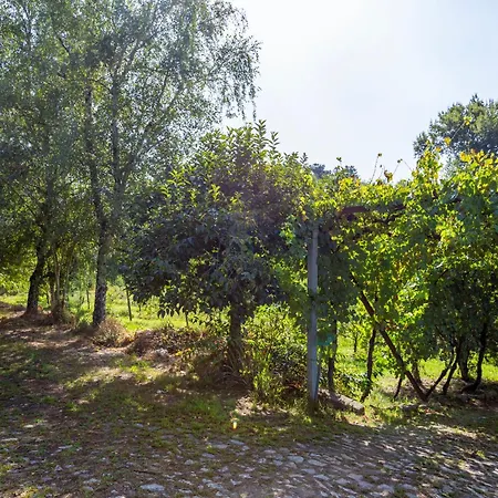 Gospodarstwo agroturystyczne Quinta Da Comenda *