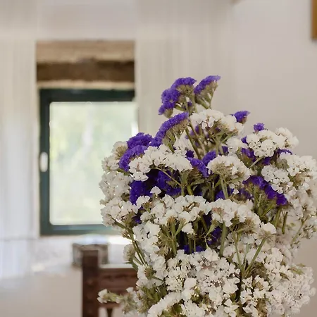 Farma Quinta Da Comenda