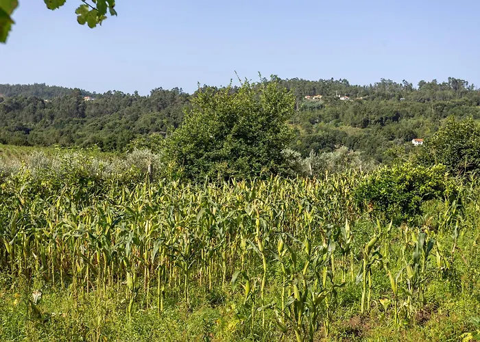 Quinta Da Comenda ファームステイ *