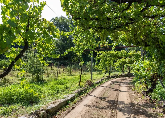 Quinta Da Comenda ファームステイ São Pedro do Sul