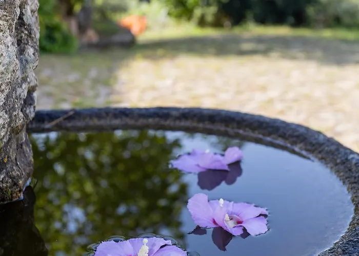 Quinta Da Comenda ファームステイ *