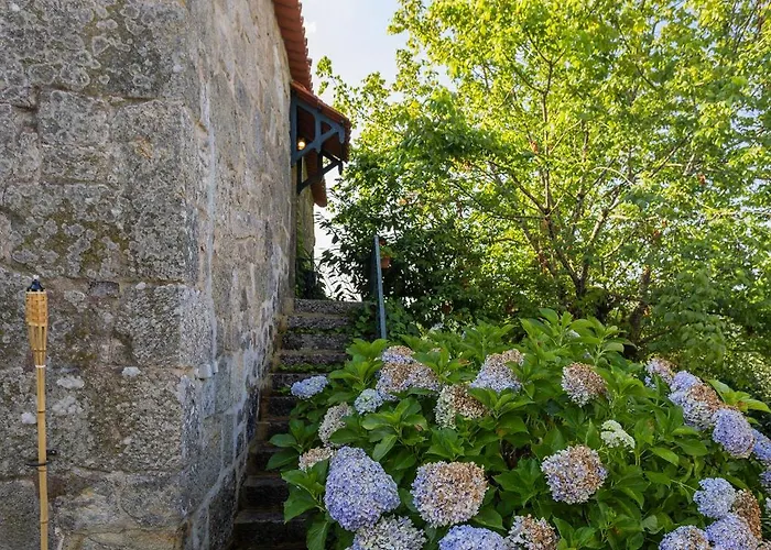 ファームステイ Quinta Da Comenda São Pedro do Sul