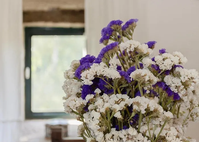 ファームステイ Quinta Da Comenda